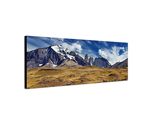XXL Wandbild 150x50cm Patagonien Nationalpark Berge Wasser Tiere