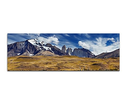 XXL Wandbild 150x50cm Patagonien Nationalpark Berge Wasser Tiere