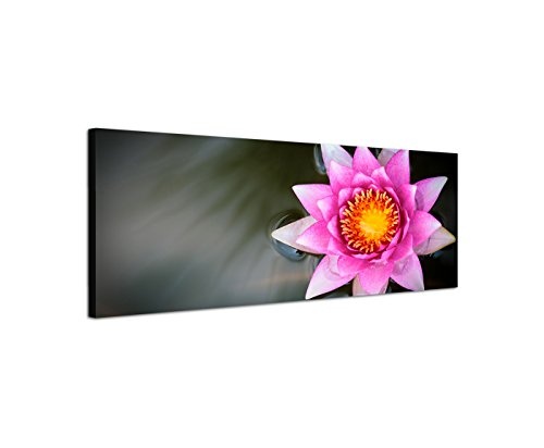 Wandbild auf Leinwand als Panorama in 150x50cm Wasser Lotusblume pink