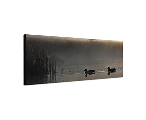 Wandbild auf Leinwand als Panorama in 150x50cm Wasser Enten Schilf Dunst Nebel Dämmerung