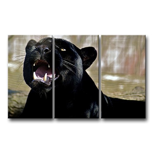 3 Stück Wand Kunst Bild Hunde Roar Zähne Panther Predator Schwarz Panther Bilder Drucke auf Leinwand Tier der Decor Öl für Home Moderne Dekoration Print