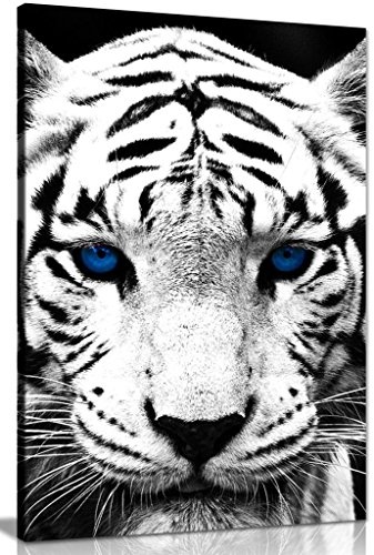 Weiß Tiger blau Augen Tier Bild auf Leinwand print,...