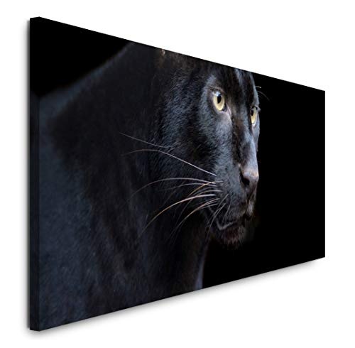 Paul Sinus Art GmbH schwarzer Panther 120x 50cm Panorama Leinwand Bild XXL Format Wandbilder Wohnzimmer Wohnung Deko Kunstdrucke