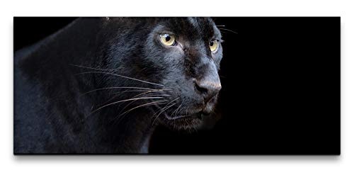 Paul Sinus Art GmbH schwarzer Panther 120x 50cm Panorama Leinwand Bild XXL Format Wandbilder Wohnzimmer Wohnung Deko Kunstdrucke