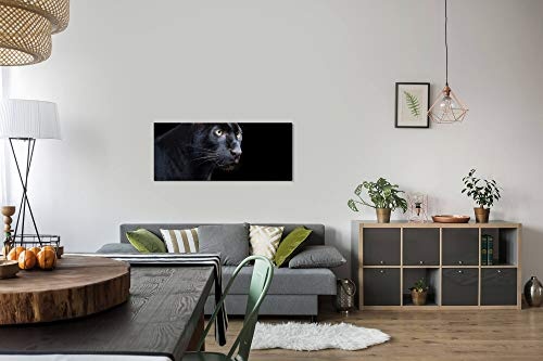 Paul Sinus Art GmbH schwarzer Panther 120x 50cm Panorama Leinwand Bild XXL Format Wandbilder Wohnzimmer Wohnung Deko Kunstdrucke