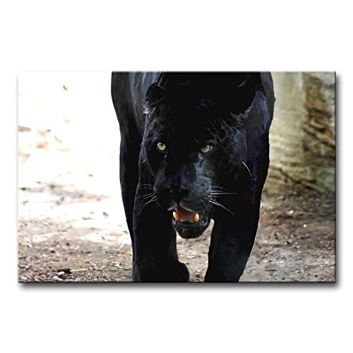 Schwarz & Weiß Art Wand Bild Staunen Black Panther Prints auf Leinwand Das Tier Bilder Öl für Home Moderne Dekoration Print Decor für Artikel