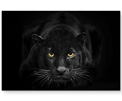 Eau Zone Wandbild auf Leinwand 120x80cm Schwarzer Panther
