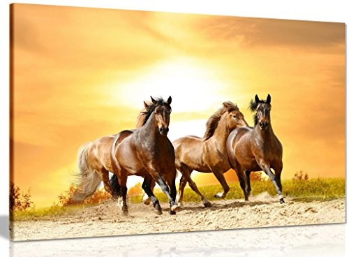 Leinwand-Bilder Wandbild Canvas Kunstdruck Pferde Tiere