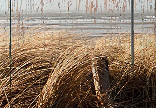 murando - Bilder 200x100 cm Vlies Leinwandbild 5 TLG Kunstdruck modern Wandbilder XXL Wanddekoration Design Wand Bild - Holz Strand Landschaft Natur Meer c-C-0029-b-n