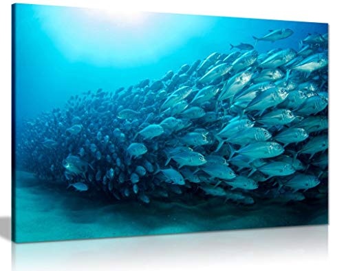 Kunstdruck auf Leinwand, Fischschule, Blau, Blue Sand Beach Sea Shells Bathroom, 46x31 cm (18x12in)