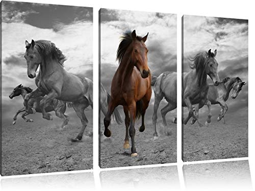 Mustangherde im Sand schwarz/weiß 3-Teiler Leinwandbild 120x80 Bild auf Leinwand, XXL riesige Bilder fertig gerahmt mit Keilrahmen, Kunstdruck auf Wandbild mit Rahmen, günstiger als Gemälde oder Ölbild, kein Poster oder Plakat