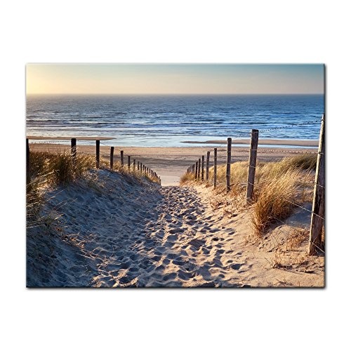 Wandbild - Schöner Weg zum Strand III - Bild auf Leinwand - 60x50 cm einteilig - Leinwandbilder - Urlaub, Sonne & Meer - Nordsee - Dünen mit Strandgräsern - Idylle - Erholung
