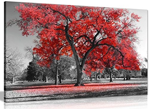 Großer Baum, Schwarz-Weiß, rote Blätter, Natur, Bild auf Leinwand, Kunstdruck, schwarz / rot / weiß, A1 76x51 cm (30x20in)