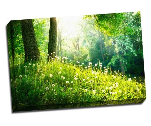 Spring Nature Schöne Landschaft grün Gras und Canvas Art Print Poster 76,2 x 50,8 cm Zoll