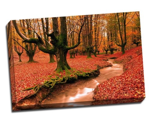 Rot auf Leinwand Landschaft Bäume Forest Poster...