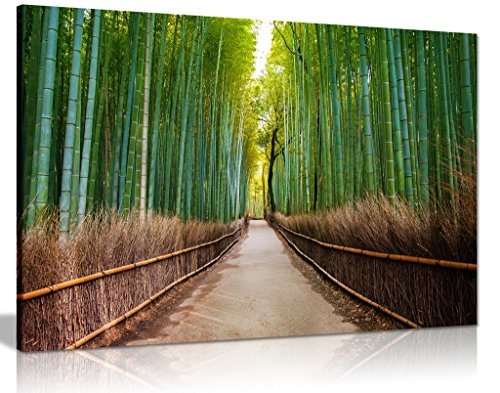 Japanische Bambus Wald Bäume grün Leinwand...