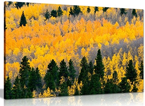 Bäume gelb Herbst Blätter natur Bild auf Leinwand drucken, A0 91x61cm (36x24in)