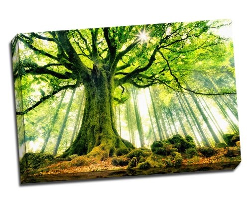 Beautiful Strange Tree Canvas Art Print Poster...