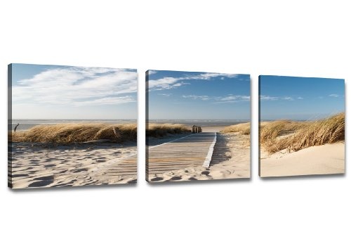 Visario 4221 Bilder auf Leinwand Bild 150 x 50 cm Strand Düne Nordsee - Ostsee drei Teile 50x50cm
