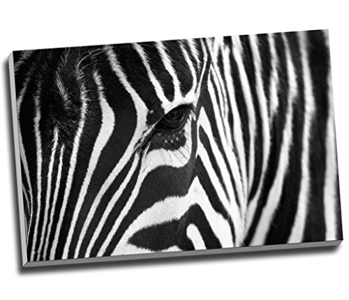 African Zebra Schwarz Weiß Leinwandbild Print Art Wand Bild Kunstdruck auf Leinwand groß A1 76,2 x 50,8 cm (76.2 cm x 50.8 cm)