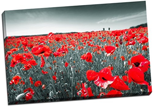 Panther Print Schwarz Weiß & Rot Leinwandbild Poppy Field Floral Art Wand groß 76,2 x 50,8 cm (76.2 cm x 50.8 cm)