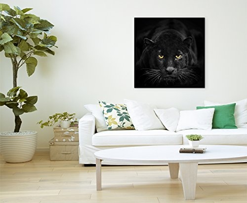 Fine Art Print auf Leinwand 90x90cm Tierbilder - Schwarzer Leopard mit bernsteinfarbenen Augen NICHT GEFUNDEN