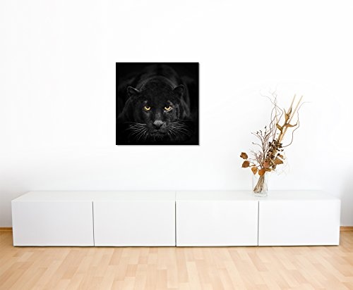 Fine Art Print auf Leinwand 90x90cm Tierbilder - Schwarzer Leopard mit bernsteinfarbenen Augen NICHT GEFUNDEN