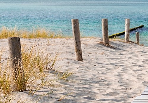 murando - Bilder 135x45 cm Vlies Leinwandbild 1 TLG Kunstdruck modern Wandbilder XXL Wanddekoration Design Wand Bild - Strand Natur Landschaft Meer c-A-0107-b-a