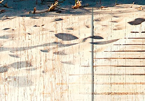 murando - Bilder 200x100 cm Vlies Leinwandbild 5 TLG Kunstdruck modern Wandbilder XXL Wanddekoration Design Wand Bild - Holz Strand Landschaft Natur Meer c-C-0029-b-o