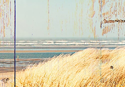 murando - Bilder 200x100 cm Vlies Leinwandbild 5 TLG Kunstdruck modern Wandbilder XXL Wanddekoration Design Wand Bild - Holz Strand Landschaft Natur Meer c-C-0029-b-o