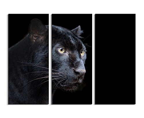 Sinus Art 3 teiliges Leinwandbild gesamt 130x90cm Tierfotografie - Schwarzer Panther mit dunklem Hintergrund