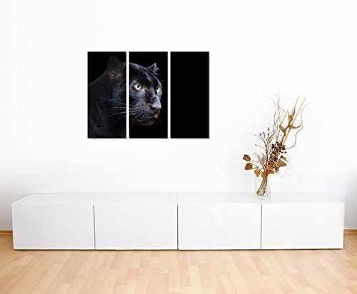 Sinus Art 3 teiliges Leinwandbild gesamt 130x90cm Tierfotografie - Schwarzer Panther mit dunklem Hintergrund