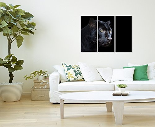 Sinus Art 3 teiliges Leinwandbild gesamt 130x90cm Tierfotografie - Schwarzer Panther mit dunklem Hintergrund