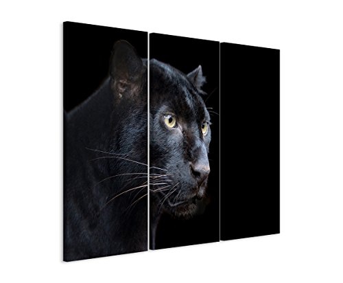 Sinus Art 3 teiliges Leinwandbild gesamt 130x90cm Tierfotografie - Schwarzer Panther mit dunklem Hintergrund