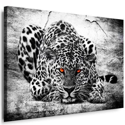 Bild auf Leinwand Raubkatzen - Panther - Leopard - Panther - Jaguar Bild Wandbilder und Kunstdrucke auf Leinwand Bilder fertig gerahmt auf Holzrahmen kein Poster oder Plakat - Günstiger als Ölbild Gemälde - Leinwandbild