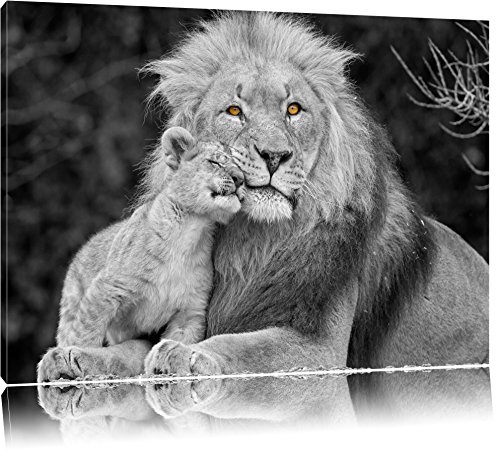 schöner Löwe mit Jungtier schwarz/weiß...