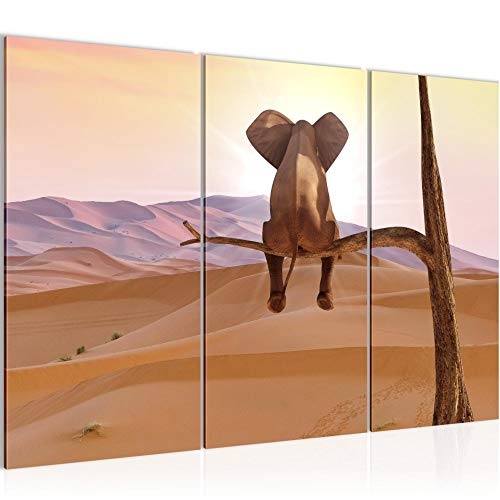 Bilder Afrika Elefant Wandbild 120 x 80 cm - 3 Teilig Vlies - Leinwand Bild XXL Format Wandbilder Wohnzimmer Wohnung Deko Kunstdrucke Orang - MADE IN GERMANY - Fertig zum Aufhängen 002031a