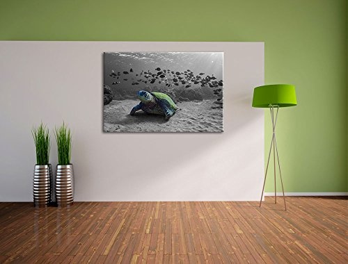 Schildkröte im Ozean schwarz/weiß Format: 120x80 auf Leinwand, XXL riesige Bilder fertig gerahmt mit Keilrahmen, Kunstdruck auf Wandbild mit Rahmen, günstiger als Gemälde oder Ölbild, kein Poster oder Plakat