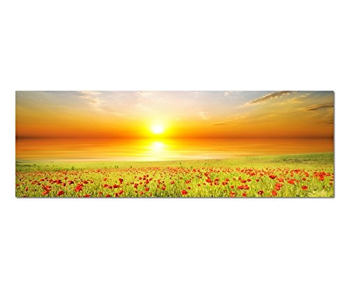 Augenblicke Wandbilder Leinwandbild als Panorama in 150x50cm Mohnblumen Feld Frühling Sonnenuntergang
