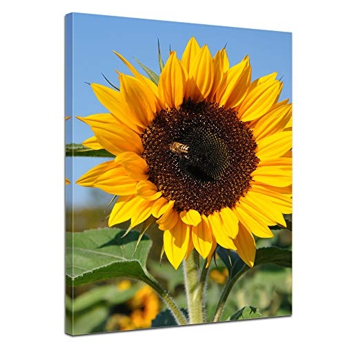 Wandbild - Sonnenblume mit Biene - Bild auf Leinwand - 60 x 80 cm - Leinwandbilder - Bilder als Leinwanddruck - Pflanzen & Blumen - Natur - gelbe Sonnenblumen