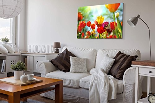 Paul Sinus Art Leinwandbilder | Bilder Leinwand 120x80cm Bunte Tulpen im Sonnenschein