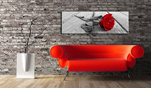 murando - Bilder Blumen Rose 135x45 cm Vlies Leinwandbild 1 TLG Kunstdruck modern Wandbilder XXL Wanddekoration Design Wand Bild - Liebe rot grau b-B-0026-b-a