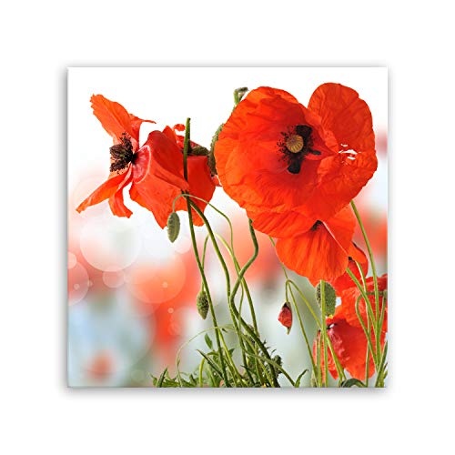 ge Bildet® hochwertiges Leinwandbild Pflanzen Bilder - Mohn - Blumen Rot Natur - 50 x 50 cm einteilig 2206 D