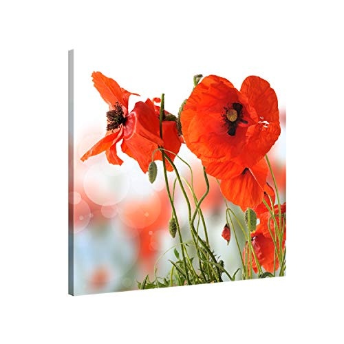 ge Bildet® hochwertiges Leinwandbild Pflanzen Bilder - Mohn - Blumen Rot Natur - 50 x 50 cm einteilig 2206 D