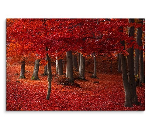 Modernes Bild 120x80cm Landschaftsfotografie - Wald mit...