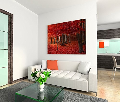 Modernes Bild 120x80cm Landschaftsfotografie - Wald mit rotem Laub