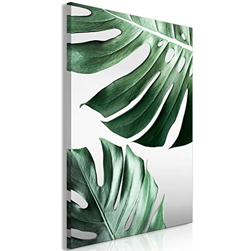 murando - Bilder Tropische Blätter 40x60 cm Vlies Leinwandbild 1 TLG Kunstdruck modern Wandbilder Wanddekoration Design Wand Bild - Monstera Natur grün b-B-0367-b-a