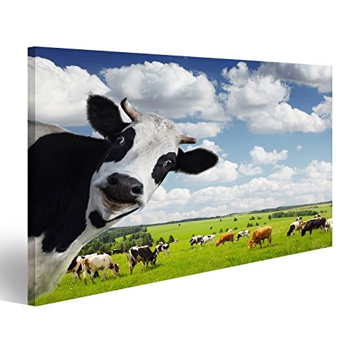 Bild Bilder auf Leinwand Lustige Kuh Blickt in die Kamera auf grüner ländlichen Wiese Wandbild Leinwandbild Poster