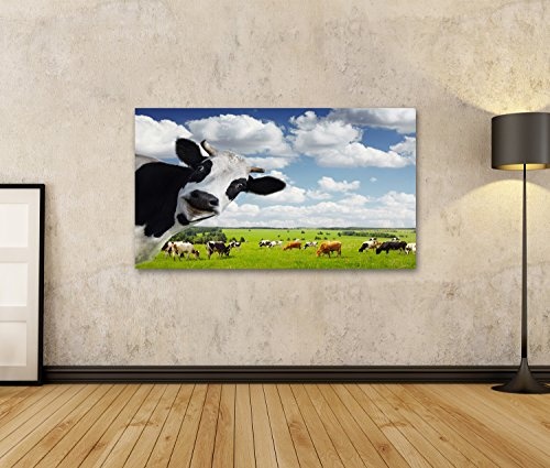 Bild Bilder auf Leinwand Lustige Kuh Blickt in die Kamera auf grüner ländlichen Wiese Wandbild Leinwandbild Poster