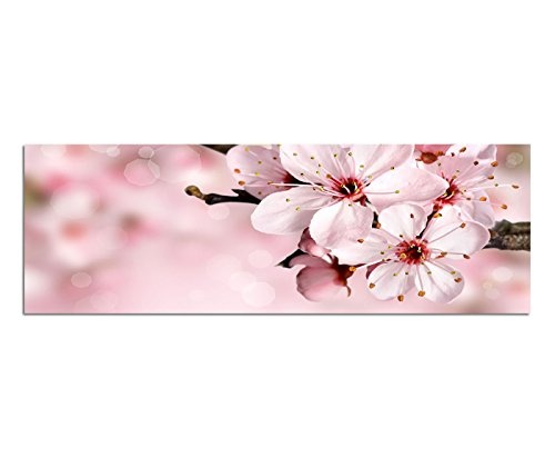 Kirschblütenbaum Wandbild auf Leinwand als Panorama in 120x40 cm Japanische Kirschblüte Sommer im Frühling beim blühen! Tolle Frühlingsfarben!pink rosa